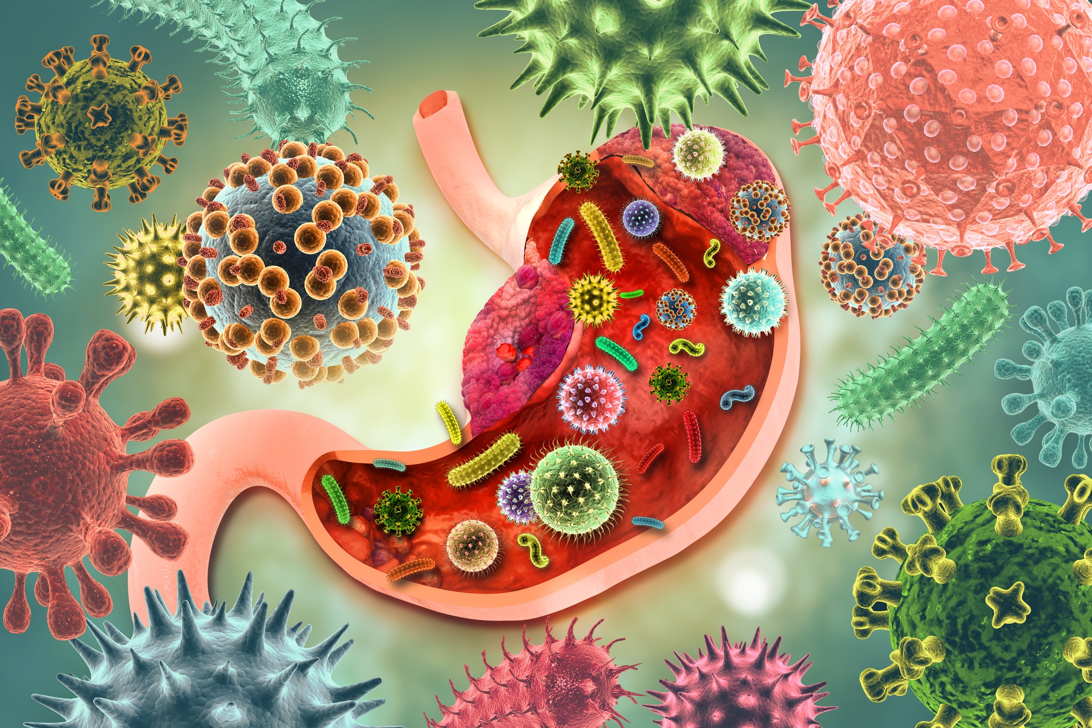 Gut Health & Nutrition