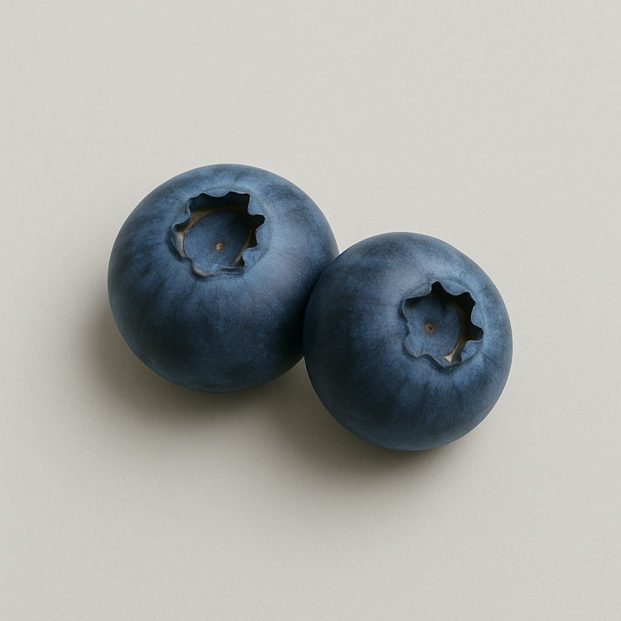 Bilberry - Nuzest UK